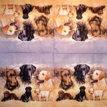223 Hunde - 3-lagig - Highland - CS